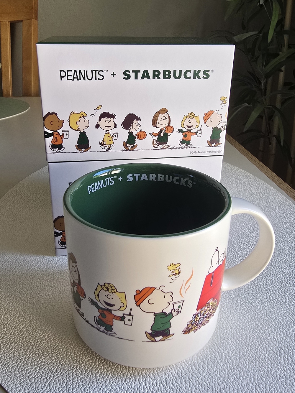 Starbucks Peanuts Kids Ceramic Mug - White with Green Interior